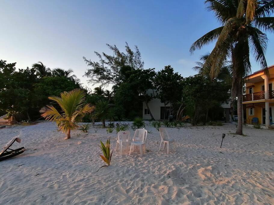 Marysol Great Views Beachfront Next To Nomads D3 إيسلا موخيريس المظهر الخارجي الصورة