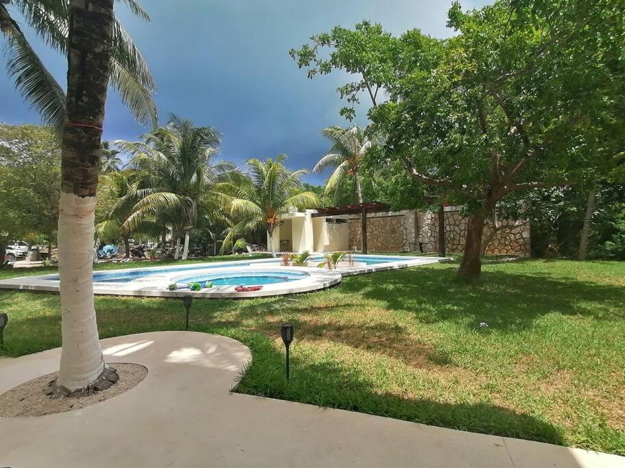 Marysol Great Views Beachfront Next To Nomads D3 إيسلا موخيريس المظهر الخارجي الصورة