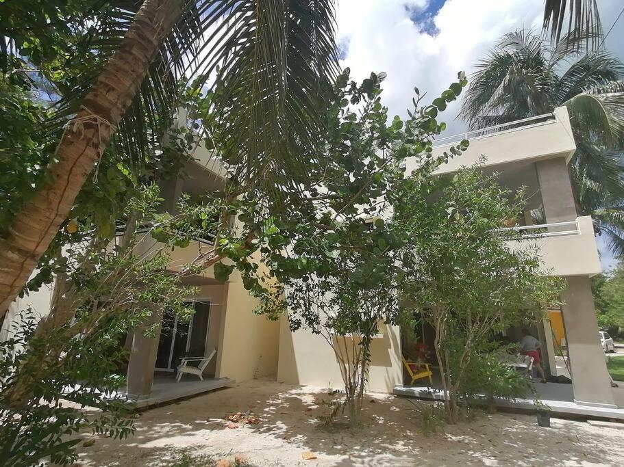 Marysol Great Views Beachfront Next To Nomads D3 إيسلا موخيريس المظهر الخارجي الصورة