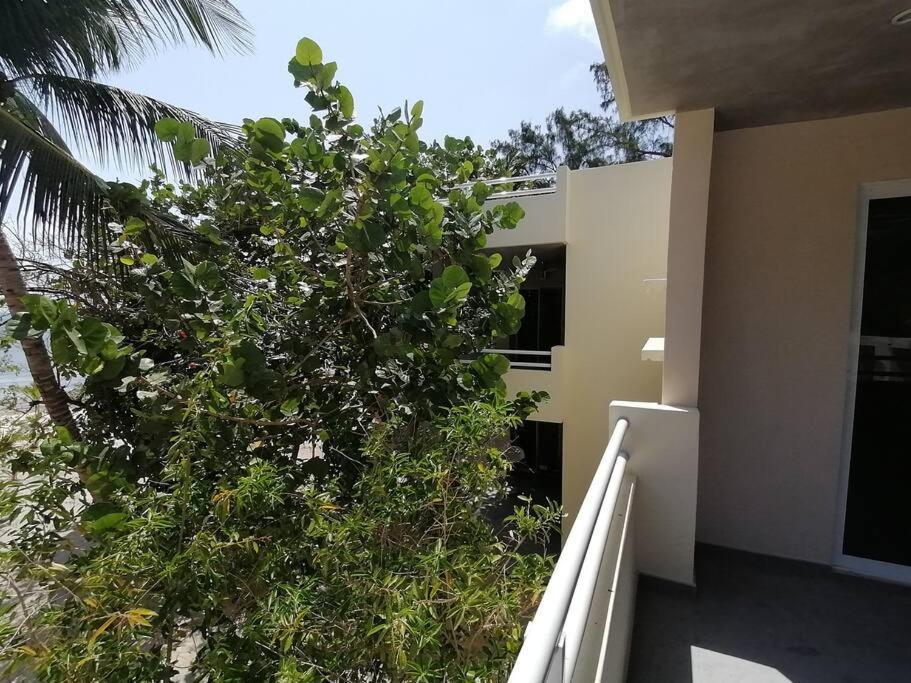 Marysol Great Views Beachfront Next To Nomads D3 إيسلا موخيريس المظهر الخارجي الصورة