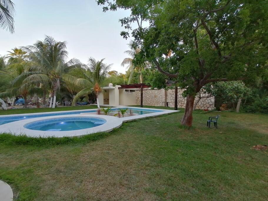 Marysol Great Views Beachfront Next To Nomads D3 إيسلا موخيريس المظهر الخارجي الصورة