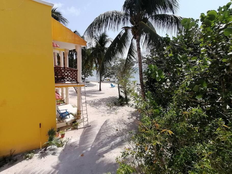 Marysol Great Views Beachfront Next To Nomads D3 إيسلا موخيريس المظهر الخارجي الصورة