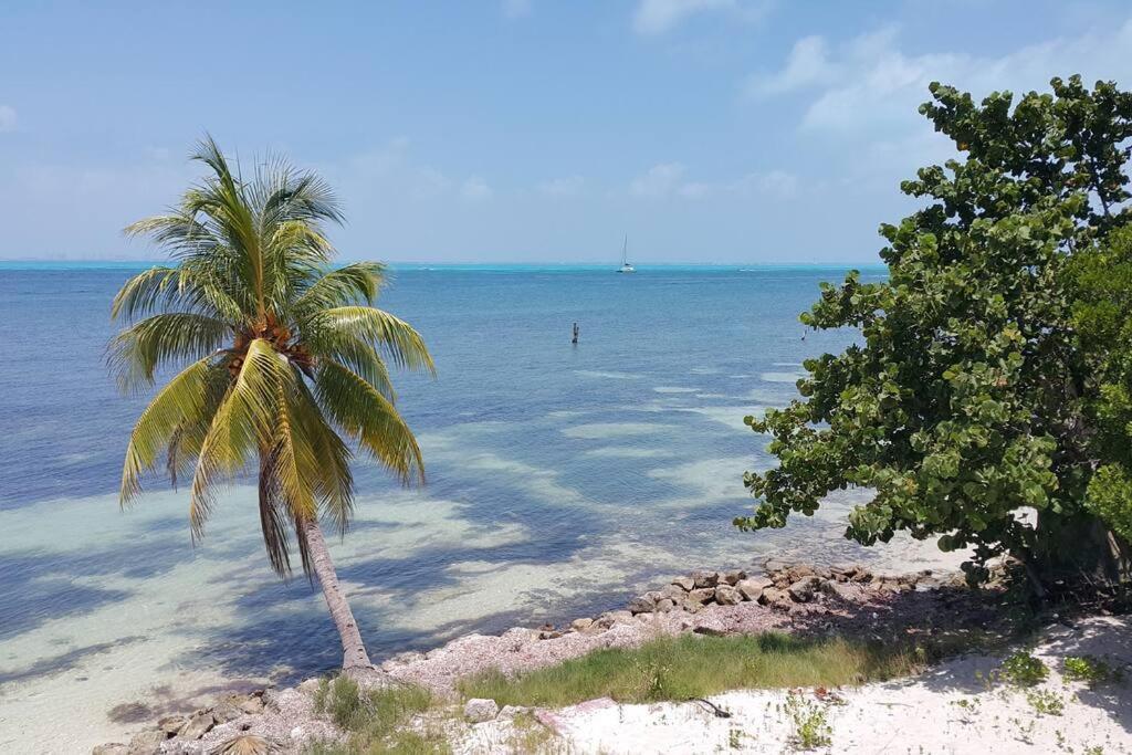 Marysol Great Views Beachfront Next To Nomads D3 إيسلا موخيريس المظهر الخارجي الصورة