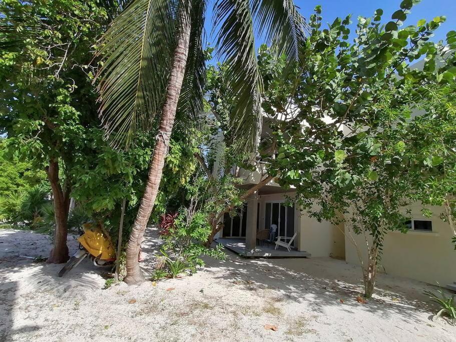 Marysol Great Views Beachfront Next To Nomads D3 إيسلا موخيريس المظهر الخارجي الصورة