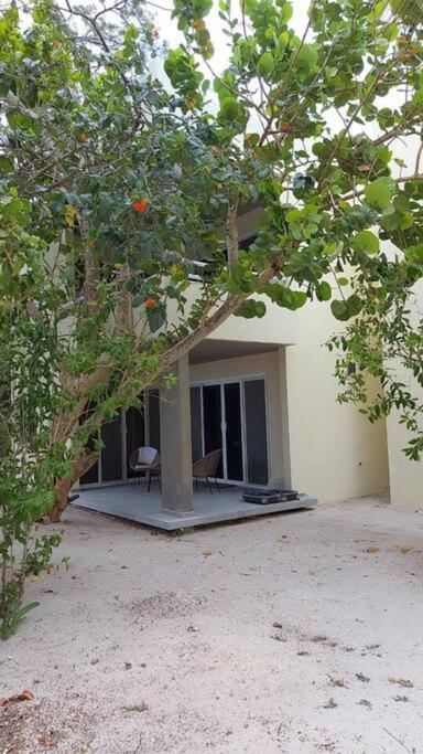 Marysol Great Views Beachfront Next To Nomads D3 إيسلا موخيريس المظهر الخارجي الصورة