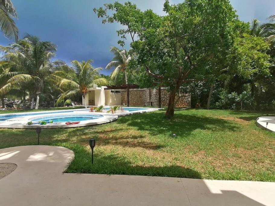Marysol Great Views Beachfront Next To Nomads D3 إيسلا موخيريس المظهر الخارجي الصورة
